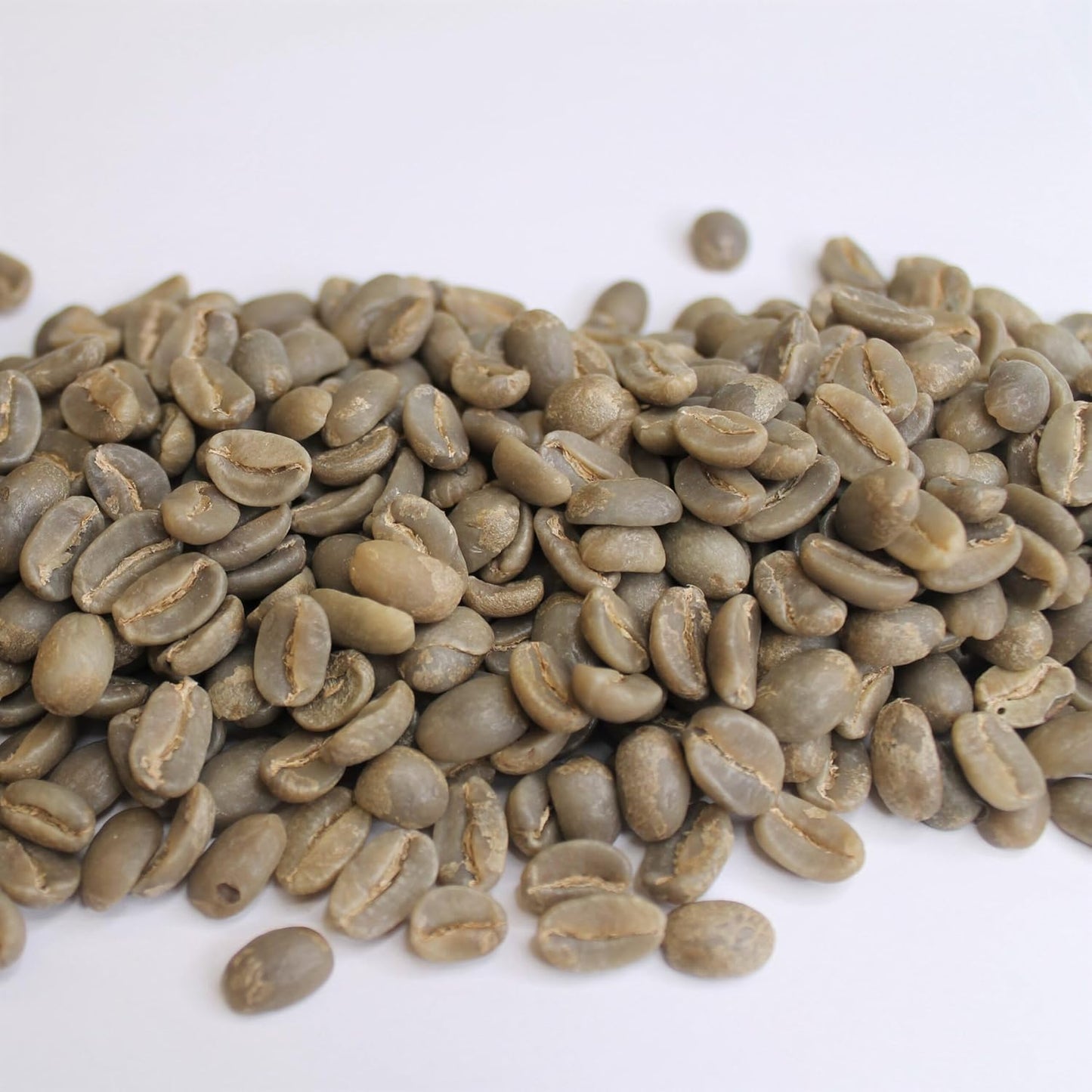 Haiti: Marre Blanc | Handpicked Haitian Coffee from the Central Plateau – 3 lb Bag - Dinner Ideas Collective