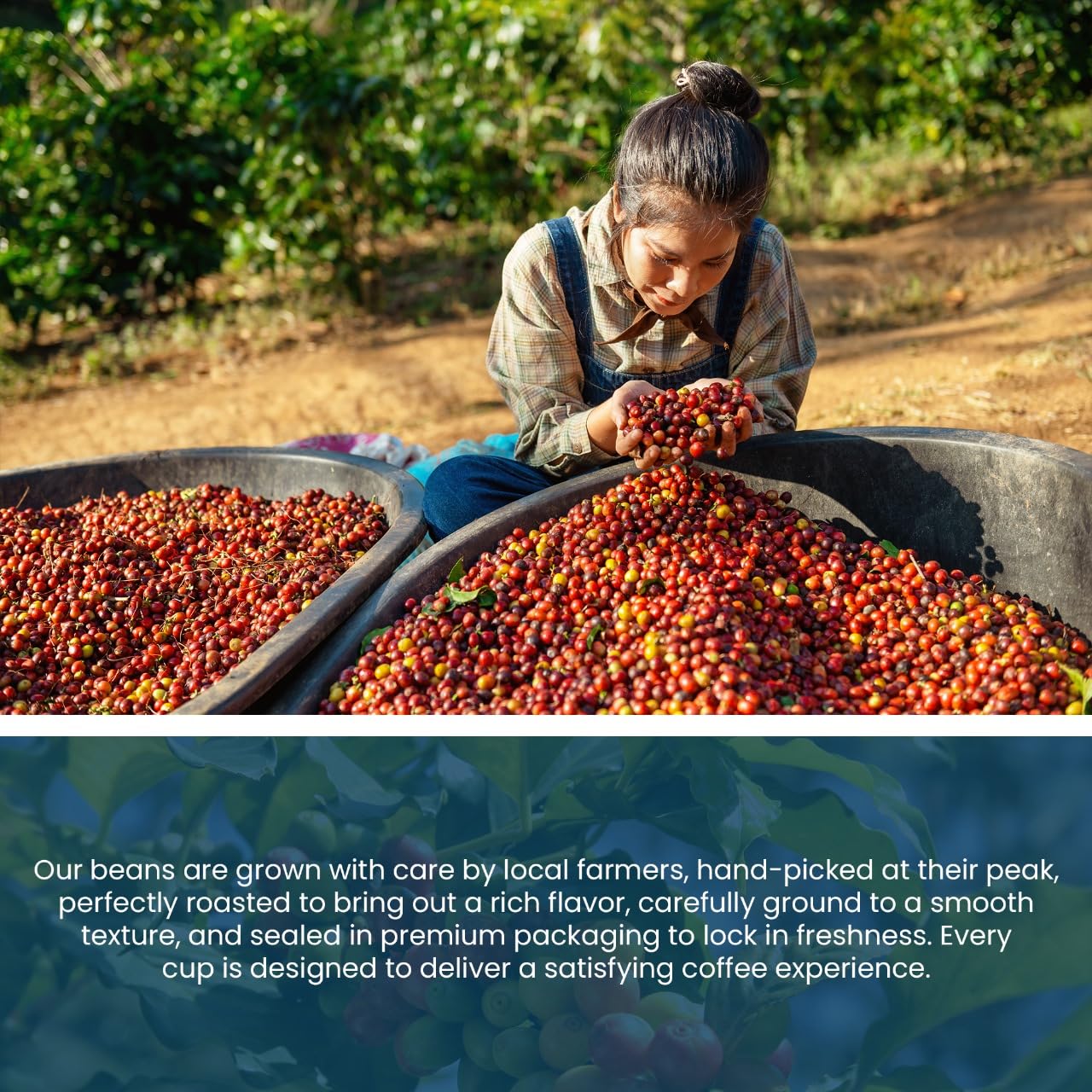 Haitian Coffee – Medium Roast Haitian Blue Mountain Ground Coffee, 100% Arabica and Kosher Certified Organic coffee (6 Pack) - Dinner Ideas Collective