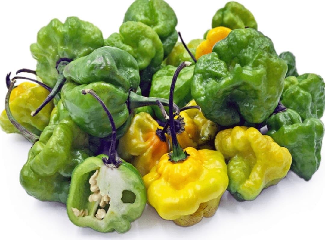 Scotch Bonnet Pepper Powder - Dinner Ideas Collective