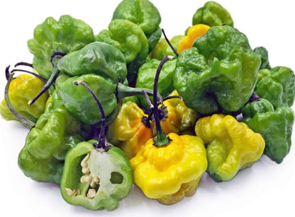 Scotch Bonnet Pepper Powder - Dinner Ideas Collective